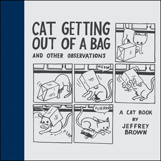 Cat Getting Out of A Bag