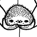 comic thumb